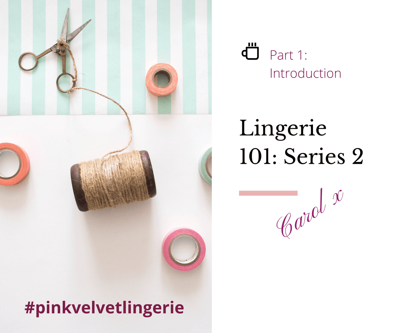 Lingerie 101-Series 2: Introduction - Fabriques