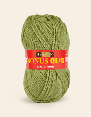 Buy grass Hayfield: Bonus Chunky Acrylic Yarn, 100g