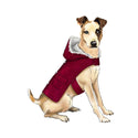 Simplicity Sewing Pattern S9416 Dog Coats